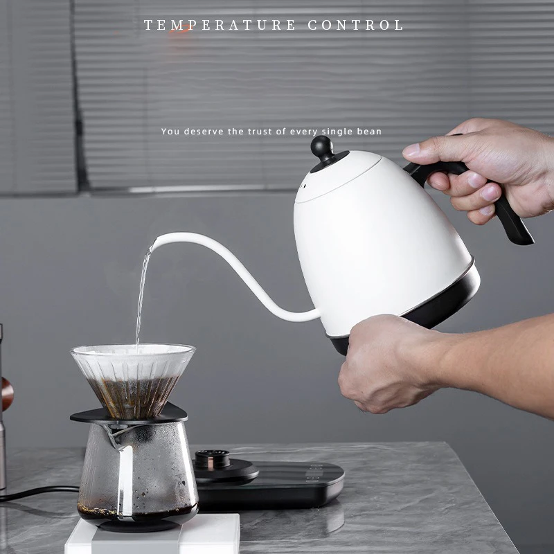 800ml Hand Brew Coffee Pot Int - Electric Kettle Gooseneck recensione e prezzo