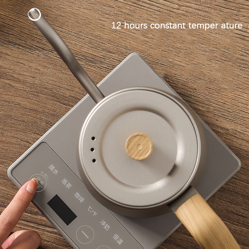 110v 220v Kettle teapot goose  - Electric Kettle Gooseneck recensione e prezzo