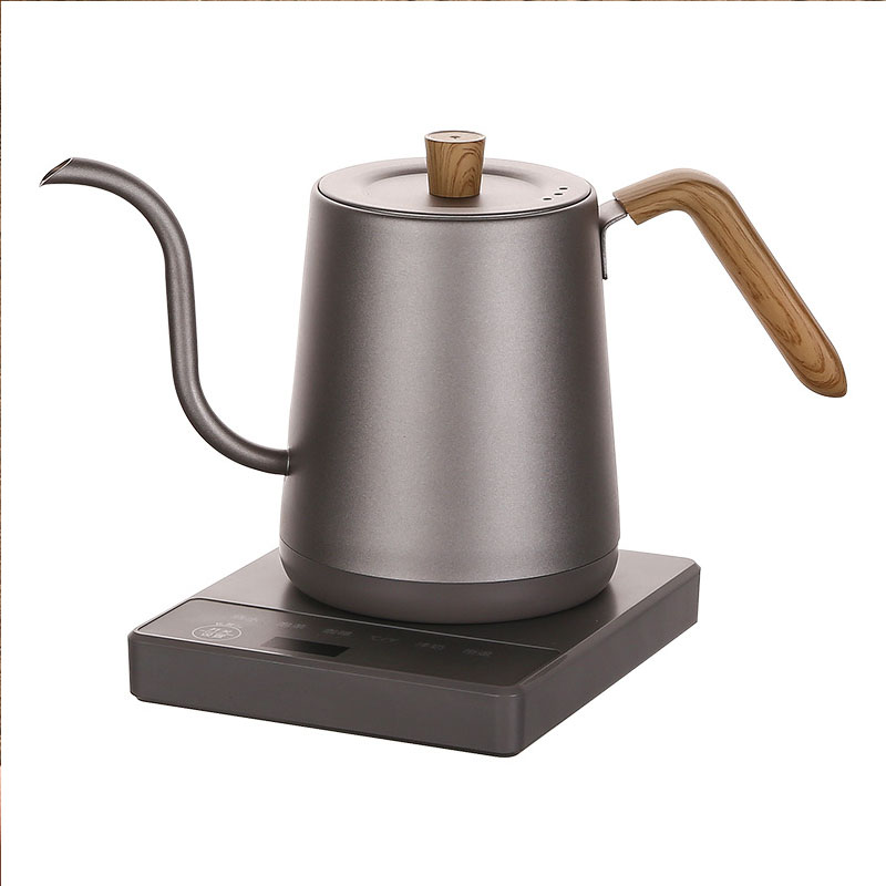 110v 220v Kettle teapot goose  - Electric Kettle Gooseneck recensione e prezzo
