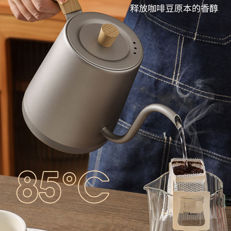 110v 220v Kettle teapot goose  - Electric Kettle Gooseneck recensione e prezzo
