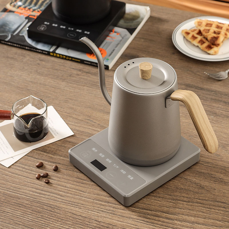 110v 220v Kettle teapot goose  - Electric Kettle Gooseneck recensione e prezzo