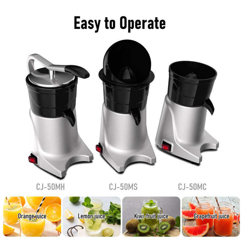 Kitchen Appliance Blender and  - Kitchen Appliances In recensione e prezzo