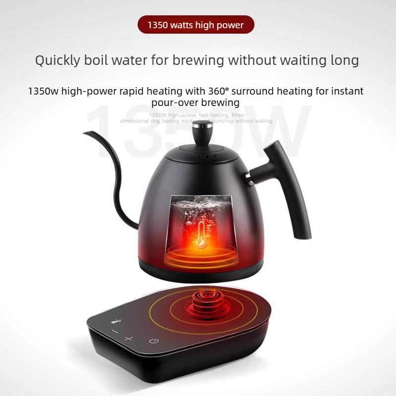 Electric Gooseneck Kettle with - Electric Kettle Gooseneck recensione e prezzo