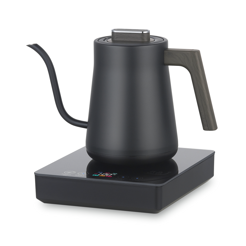 HK-60H0 1.5L Gooseneck Electri - Electric Kettle Gooseneck recensione e prezzo