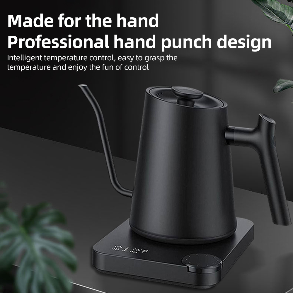 Gooseneck 0.9LTemperature Cont - Electric Kettle Gooseneck recensione e prezzo