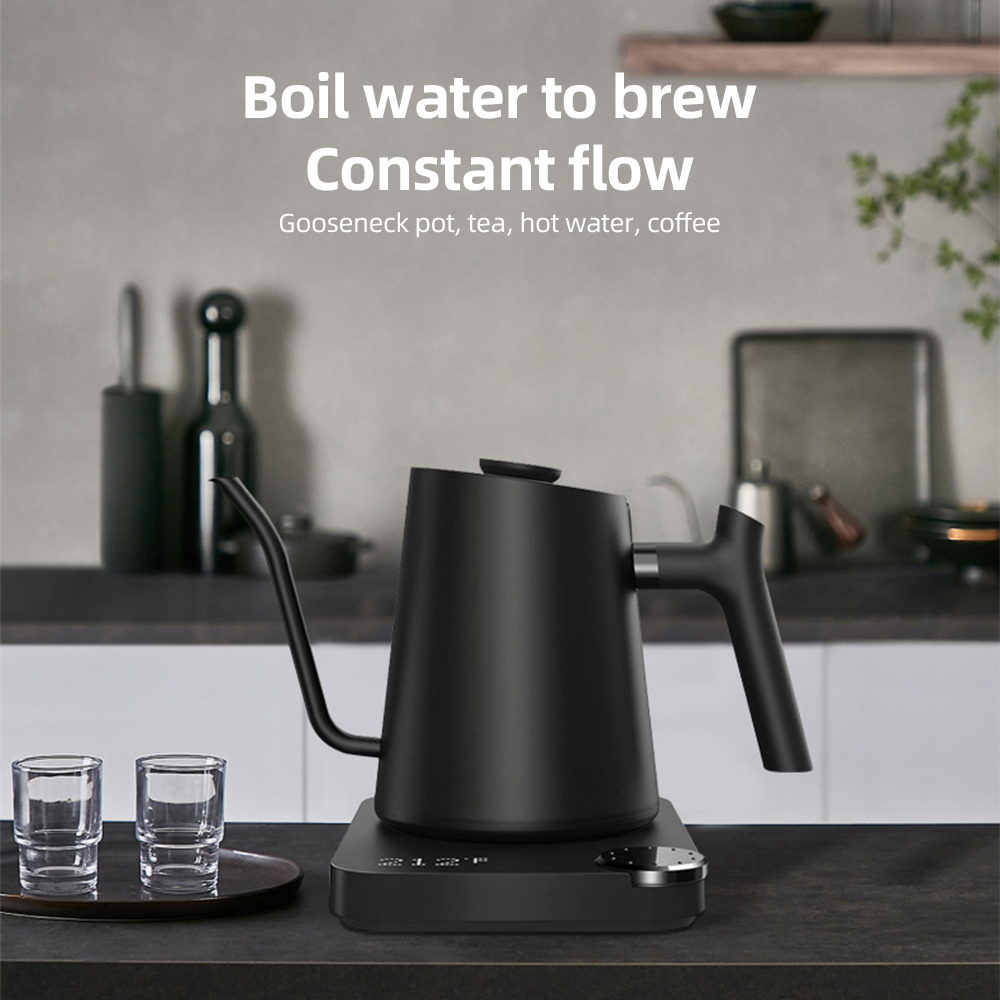 Gooseneck 0.9LTemperature Cont - Electric Kettle Gooseneck recensione e prezzo