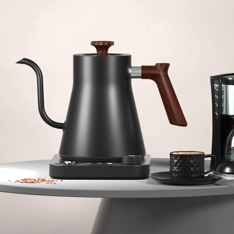 2026 New Smart Temperature Con - Electric Kettle Gooseneck recensione e prezzo