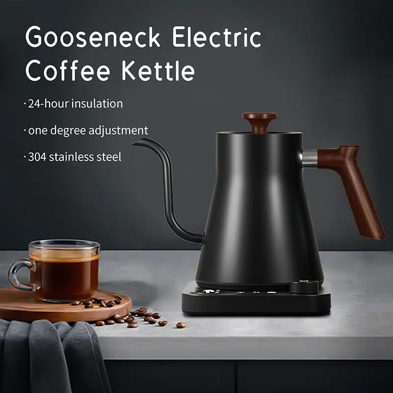 2026 New Smart Temperature Con - Electric Kettle Gooseneck recensione e prezzo