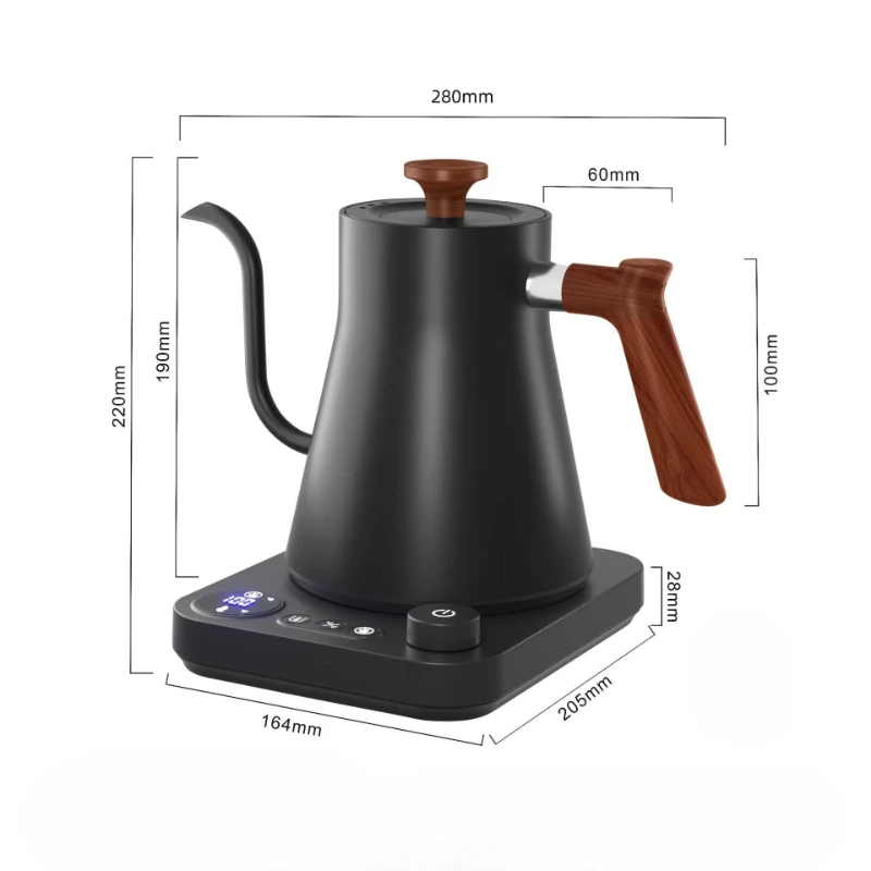 2026 New Smart Temperature Con - Electric Kettle Gooseneck recensione e prezzo