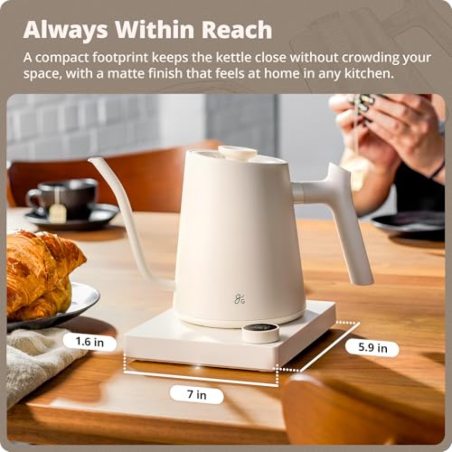 Electric Gooseneck Kettle, 120 - Electric Kettle Gooseneck recensione e prezzo